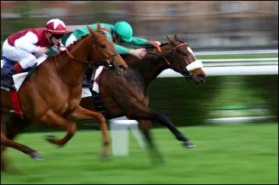 What is a 'turfist'?