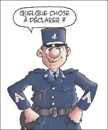 Who controls goods at the border?