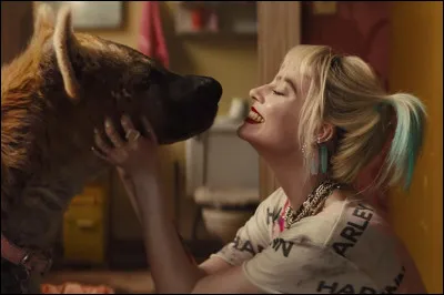 Are you an animal lover?