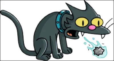 What's the Simpsons cat's name?
