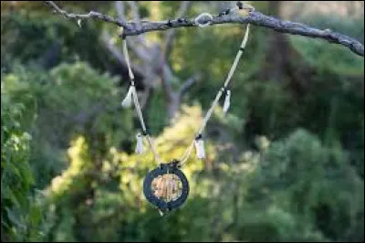 In episode 4, who finds an immunity necklace on their island?