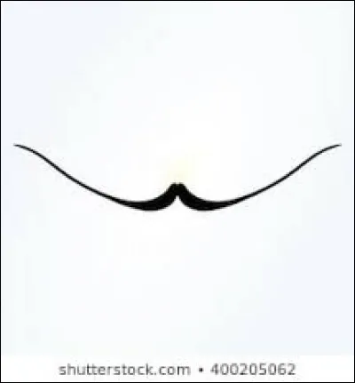 Find the painter using the photo!