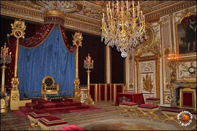 Which fish does this picture remind you of?