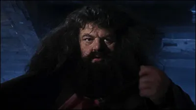 Hagrid was expelled from Hogwarts in his fifth year