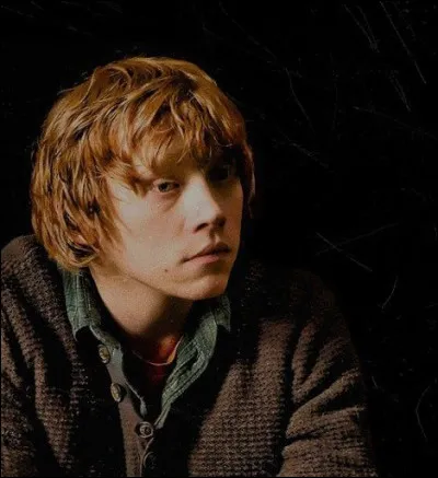 Rupert Grint was removed from the set during the filming of a scene from Harry Potter 7 part 1.