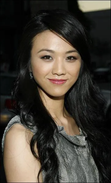 Chinese or Not Chinese?