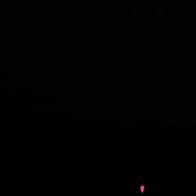 How do you say black to the masculine in French?