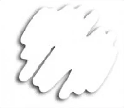 How do you say white to the feminine in French ?