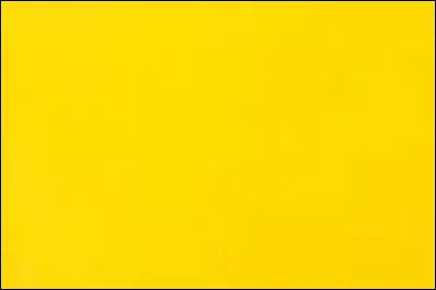 How do you say yellow to the feminine in French ?