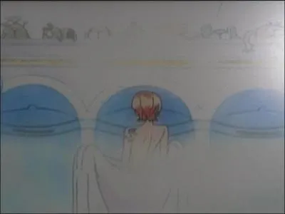 What does Nami want to do?