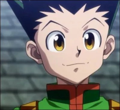 Does Gon manage to find this person?