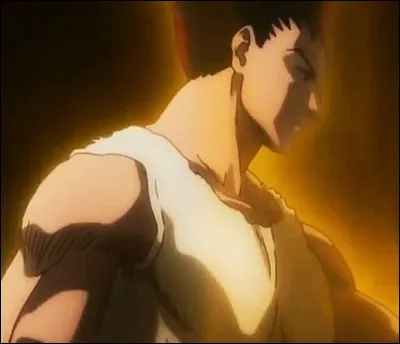 Who heals Gon after his battle with the ant-chemicals?