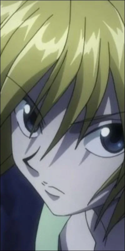 What does Kurapika want to get back?
