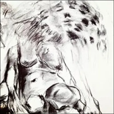 Who painted this work ?