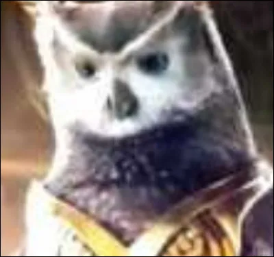 What was the name of the owl that protected him?