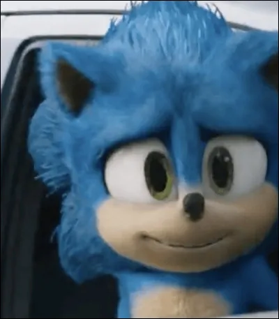 What world did Sonic have to hide in?