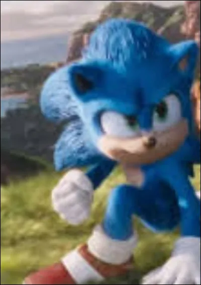In which city must Sonic find his rings?