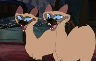 What are the names of these two sneaky-faced cats?