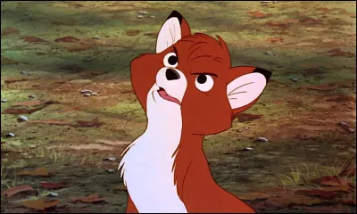 What is the name of the fox with the beautiful coat?