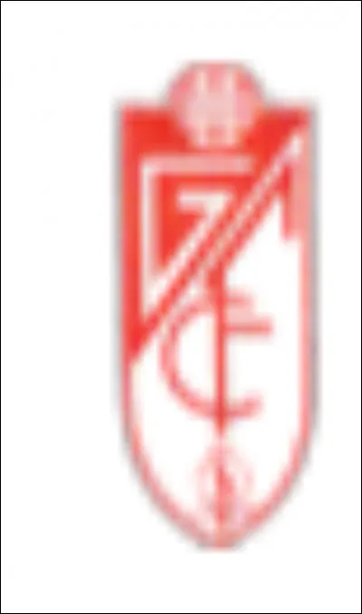 Who does this logo belong to?