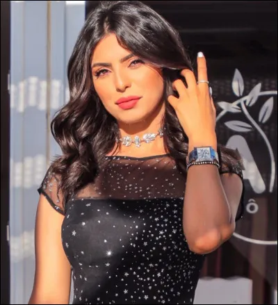 What is the name of this model ?