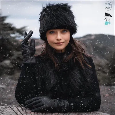 What is the name of this model ?