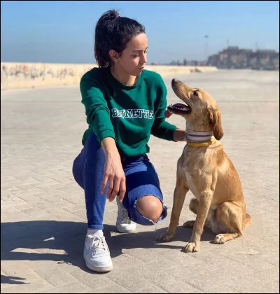 What is the name of this model ?