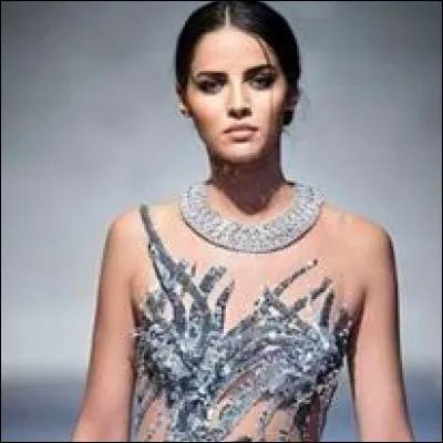 What is the name of this model ?