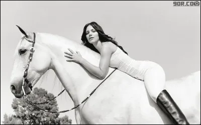 What is the name of this model ?