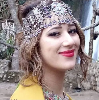 What is the name of this model ?