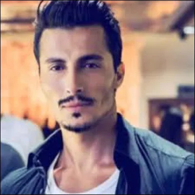 What is the name of this model ?