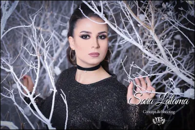 What is the name of this model ?