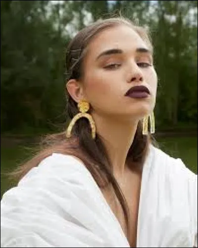 What is the name of this model ?