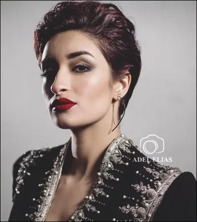 What is the name of this model ?