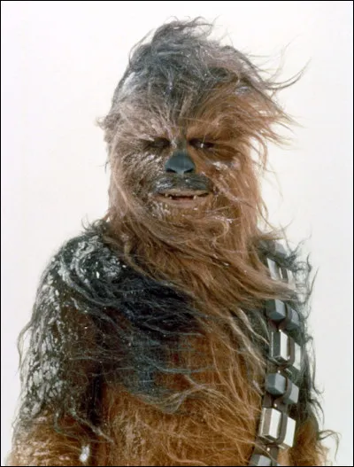 What species is Chewbacca, Han Solo's faithful co-pilot?