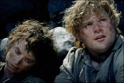 Where does this image come from?