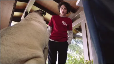 Where does this image come from?