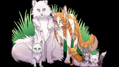 There are kingdoms...