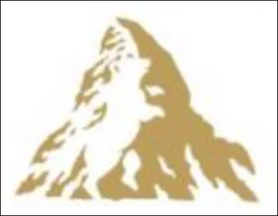 What is this logo called?