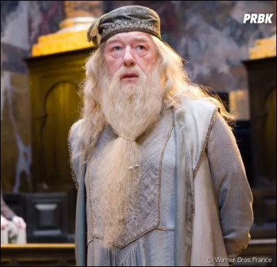 Who's in Dumbledore's army?