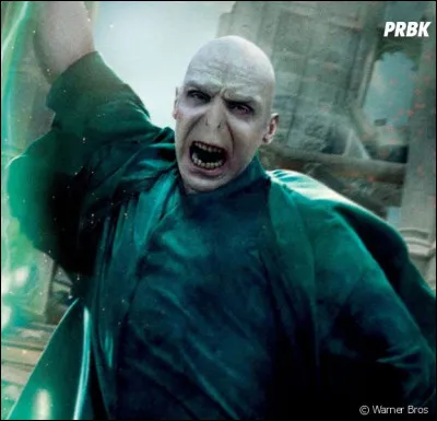 Who is Voldemort's enemy?