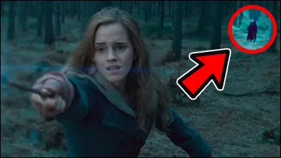 Which saga is Hermione Granger in?