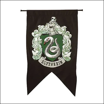 Which saga can you get into at Slytherin?