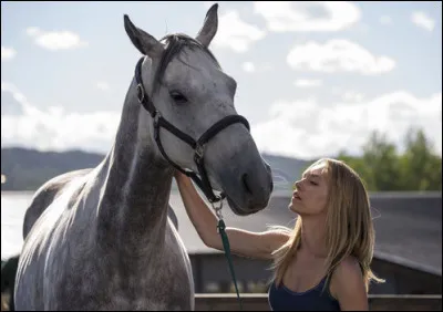 Which horse kicked Amy in the head, causing her to be temporarily blind?