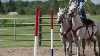 When Georgie started roman riding, which horse did she try to get to work with Pheonix?