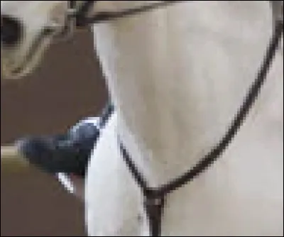 Which horse's name was originally ' Sky's the limit ' ?