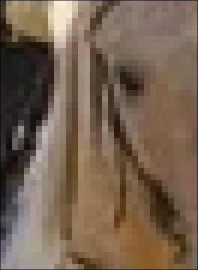 Which horse used to just go by 'horse' until they decided to give him a real name?