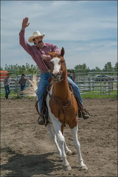 And this one? (The horse)