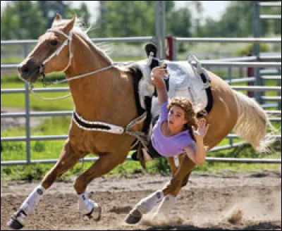 This amazing trick riding horse's name is......