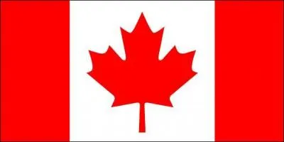 What country is this flag from?